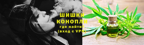 сатива Осташков