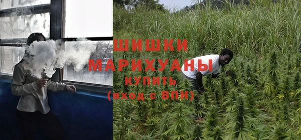 Альфа ПВП Осинники