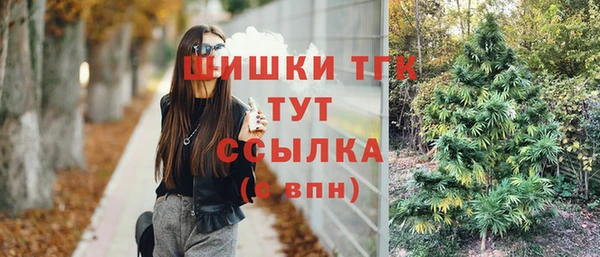 Альфа ПВП Осинники