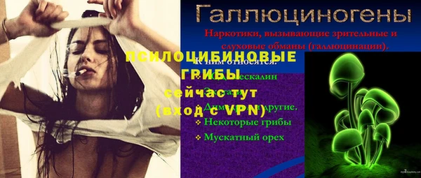сатива Осташков
