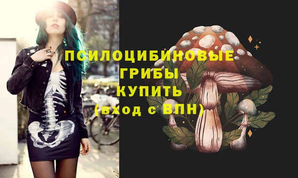 сатива Осташков